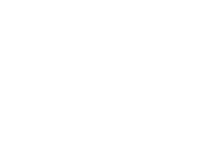 Bella Riders